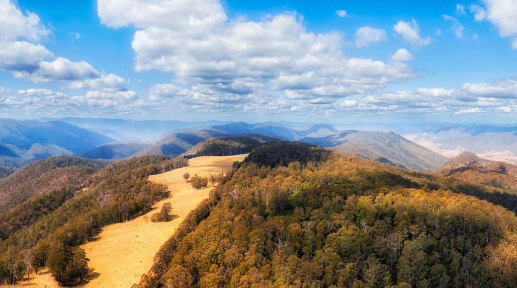 D Pioneer lookout woodshill top pan