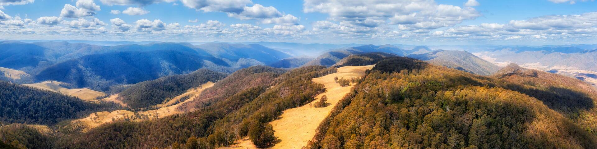 D Pioneer lookout woodshill top pan