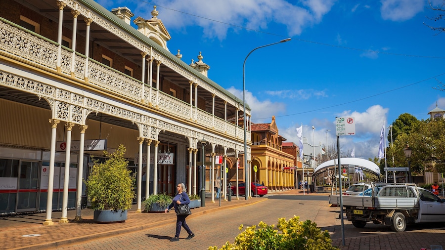 Armidale featuring a small town or village and street scenes