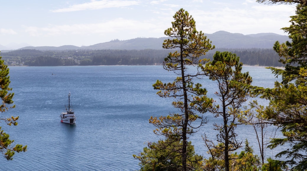 Fishing Boat parked in the ocean during a vibrant sunny summer day. Taken in Port Hardy, Northern Vancouver Island, BC, Canada.
