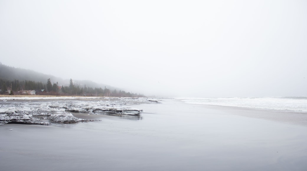frozen beach in winter