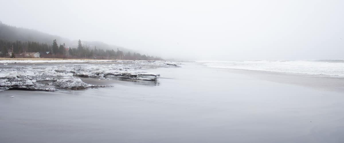 A foggy beach with ice formations and a forested hill in the background.
