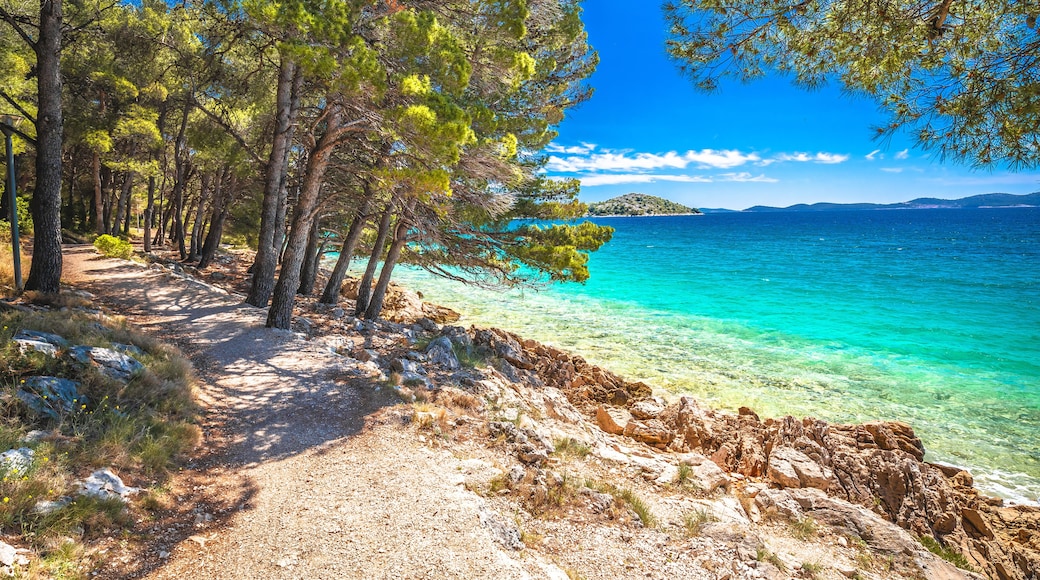 Idyllic turquoise rocky beach landscape view in Zadar riviera