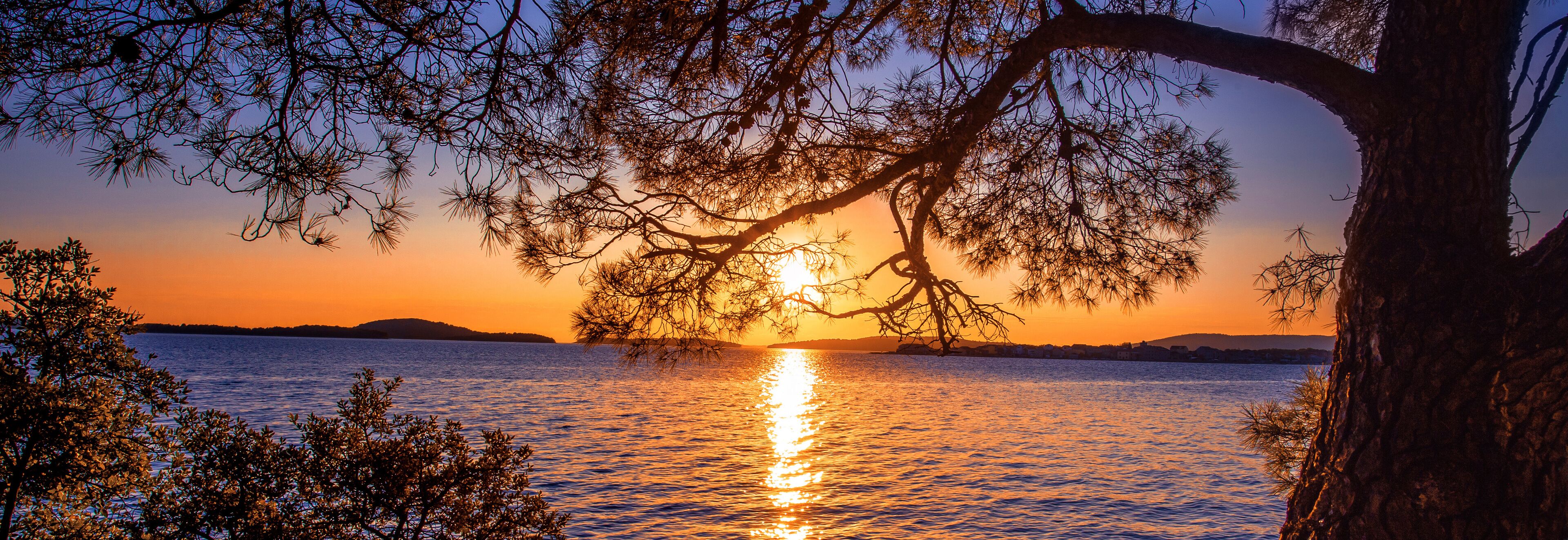 A sunset over a calm body of water with a tree silhouetted against the sky.