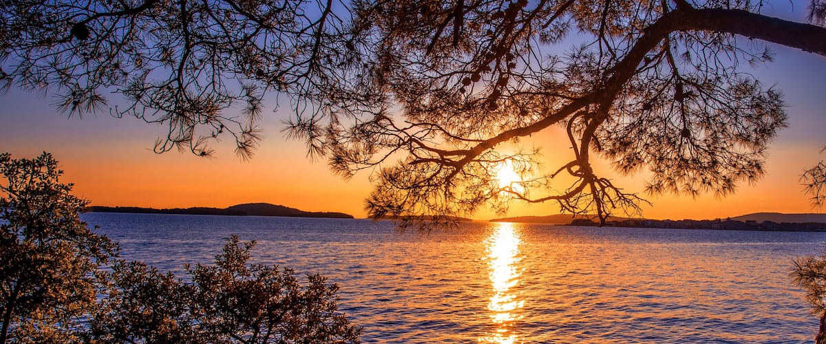A sunset over a calm body of water with a tree silhouetted against the sky.