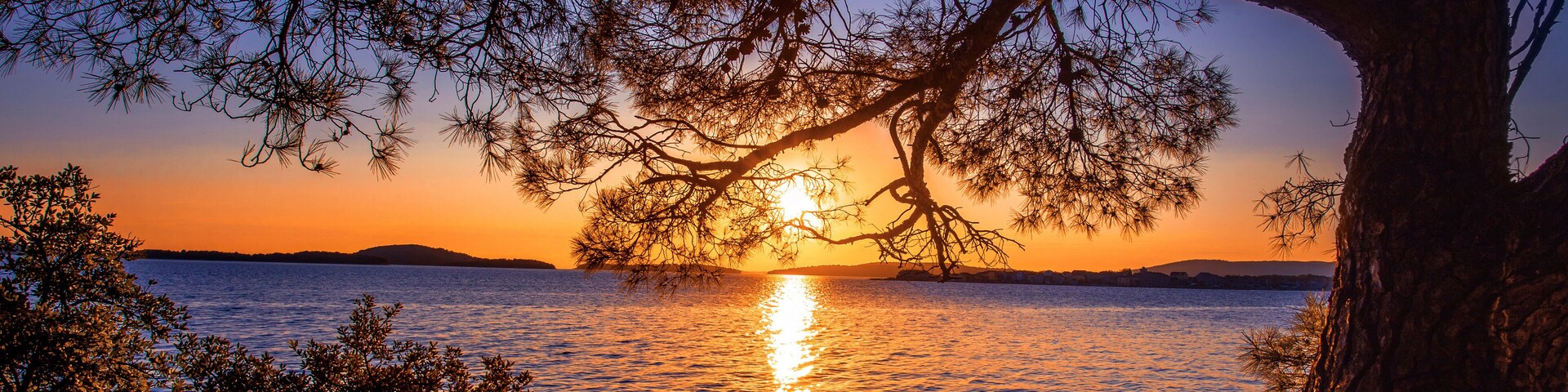 A sunset over a calm body of water with a tree silhouetted against the sky.