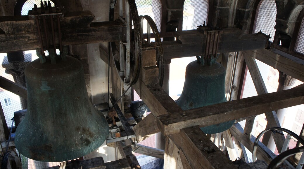 Inside the the cathedral of St. Anastasia, you climb by these bells to get to the top of the tower.