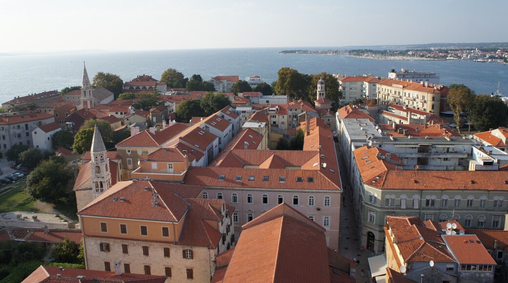 View from the top of the cathedral of Saint Anastasia in Zadar. Definitely worth the climb.