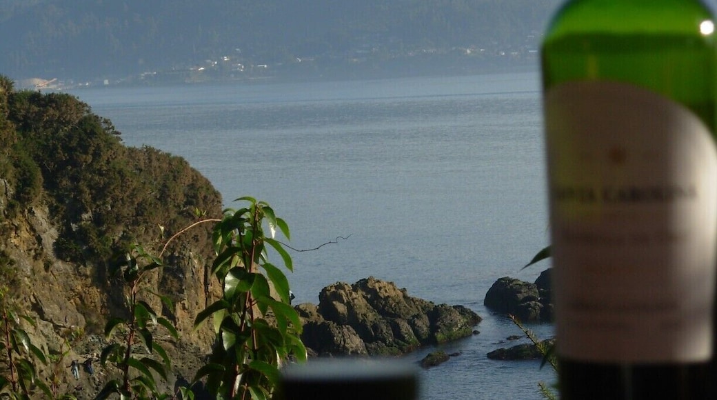 Un relajo con el infaltable vino.