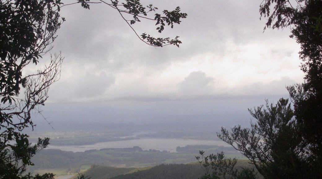 Subiendo a la cima del Oncol