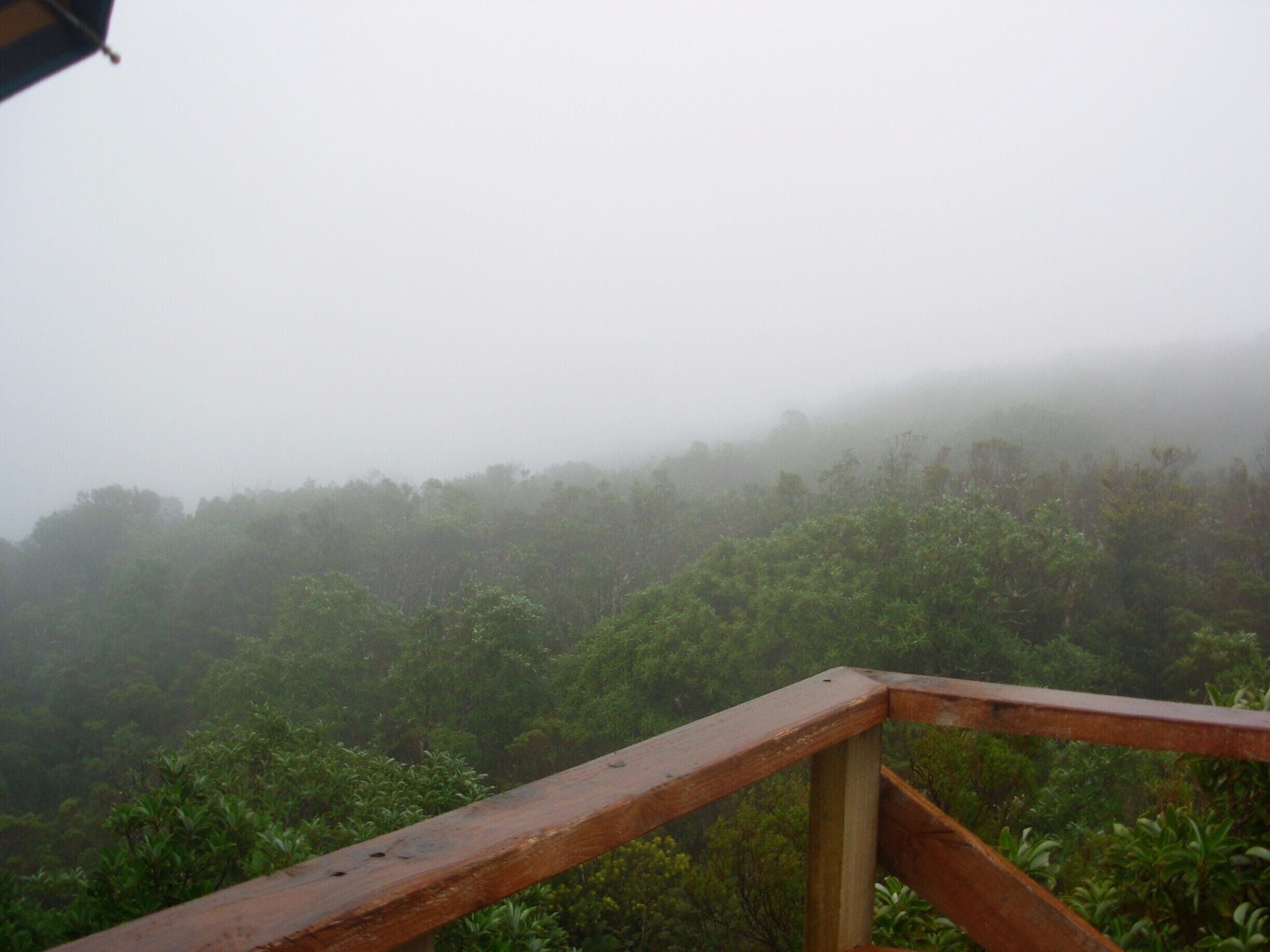En la cima del Parque Oncol. Día lluvioso y con neblina no permitó ver Valdivia a los lejos. 