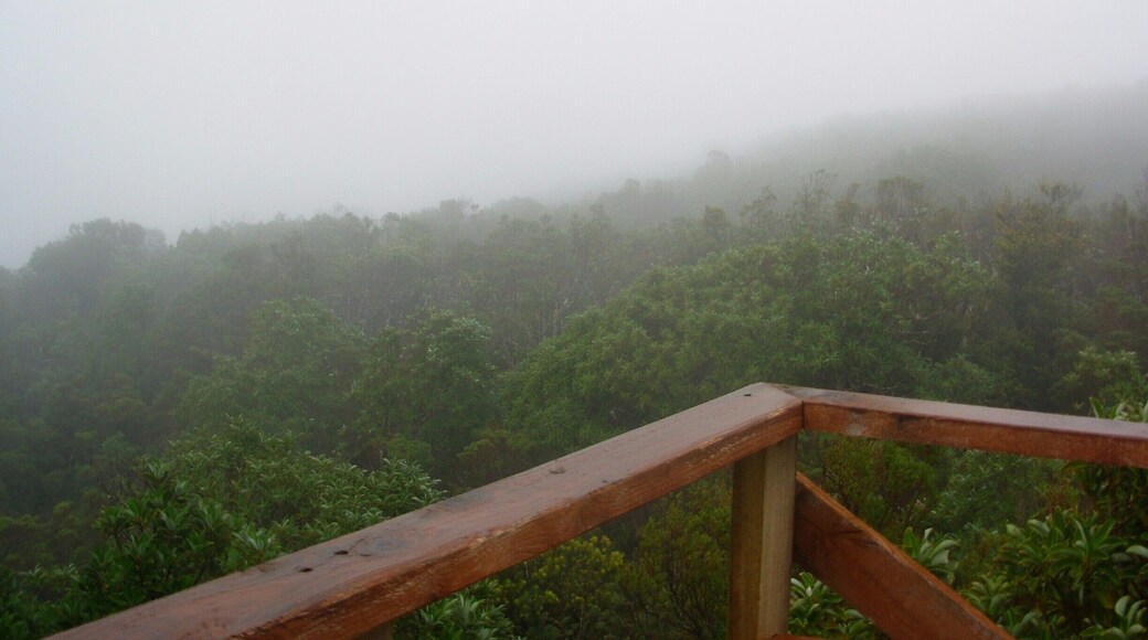 En la cima del Parque Oncol. DĂa lluvioso y con neblina no permitĂł ver Valdivia a los lejos.