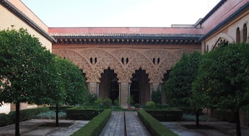DAY 0 - ZARAGOZA
#caminodesantiago
The Orange Gardens of the 11th century Moorish Palace of the Aljafería.