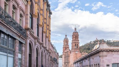 Zacatecas