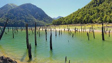 Laguna Verde at Conguillio N.P. (Chile) - panorama