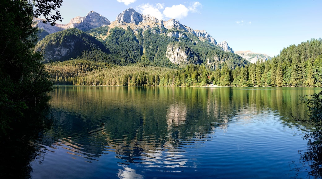 Il lago di Tovel nel Parco Naturale Adamello Brenta
