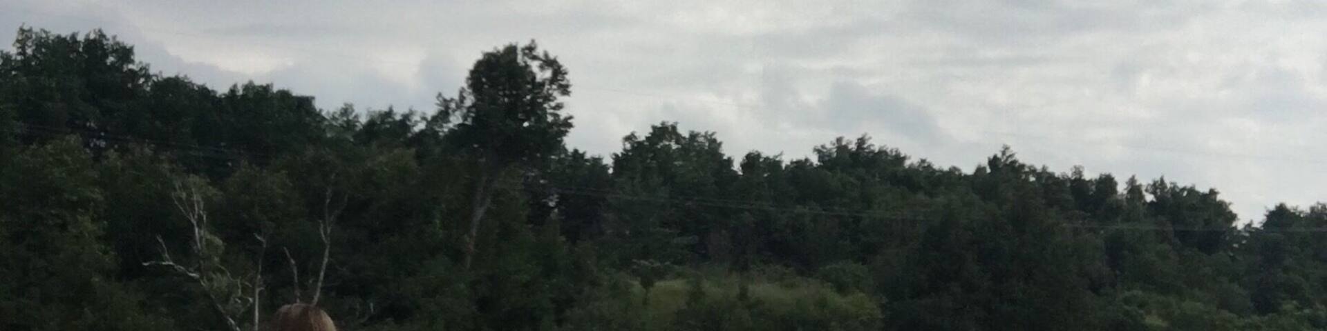 #takeahike the smallest things often take up the most room in your heart