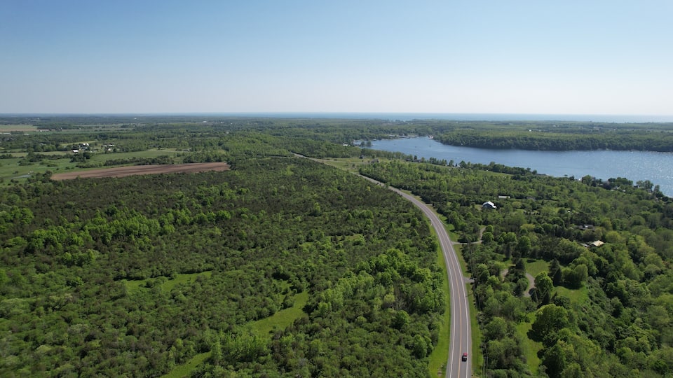 A winding road through a dense forest with a lake in the background.