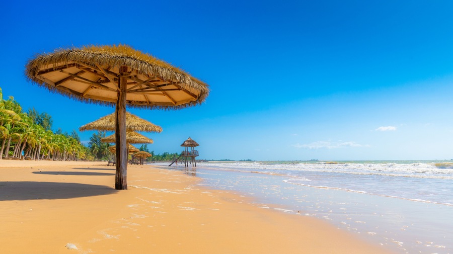 A beach with thatched umbrellas, palm trees, and a clear blue sky.