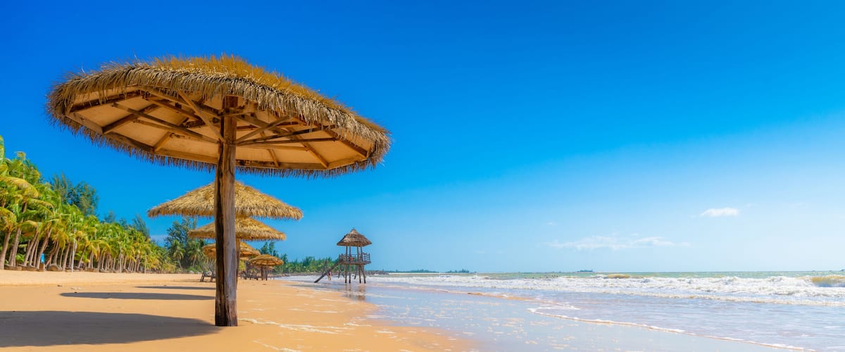A beach with thatched umbrellas, palm trees, and a clear blue sky.