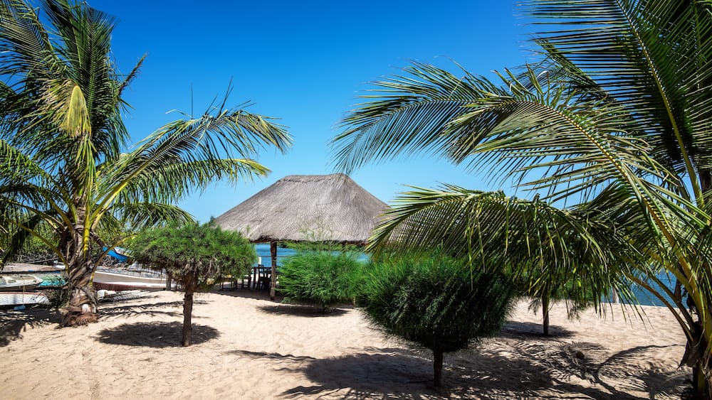 A beach with palm trees, a thatched hut, and boats in the background.