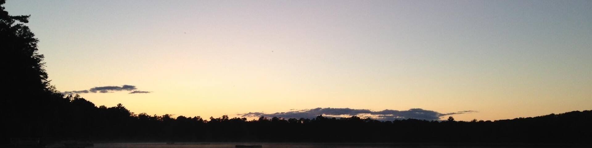 Loons, lake, sunset.