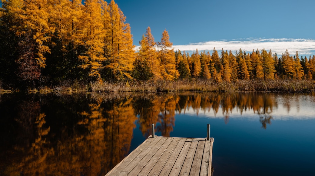 The autumn tamaracks reflect off the calm bog waters from the opposite shoreline of this small boat pier at the High Lake boat launch, near Boulder Junction, Wisconsin in mid-October