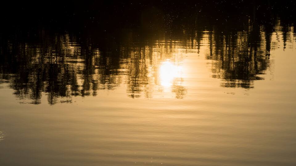 A calm lake with reflections of trees and a bright light source, possibly the sun or moon.