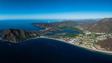 Manzanillo