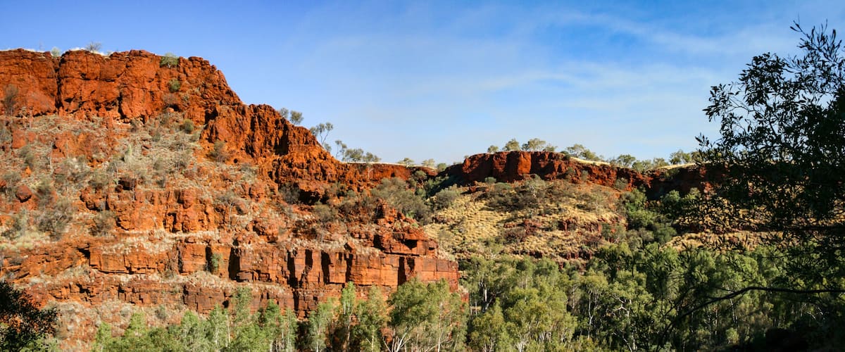 A red rock formation with sparse vegetation.