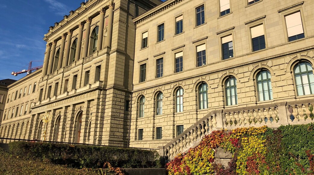 A great day in Zurich