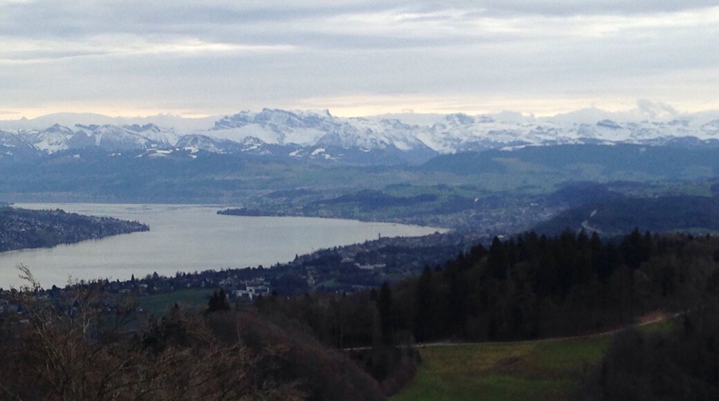 Get great views of the Alps from Zurich's little mountain next door, Üetliberg. Just take the train to the top!