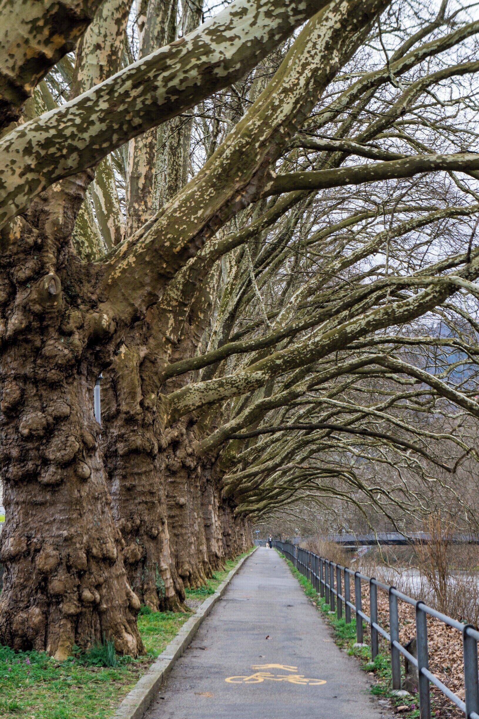 Relaxing footpath outside Zurich, Switzerland