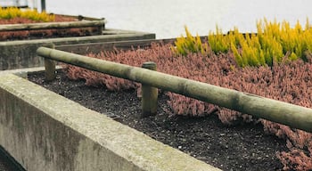 Incredible nice to walk along the lake in ZĂŒrich