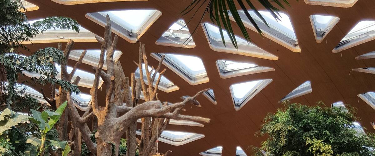 Magnificent elephant enclosure at Zurich Zoo.