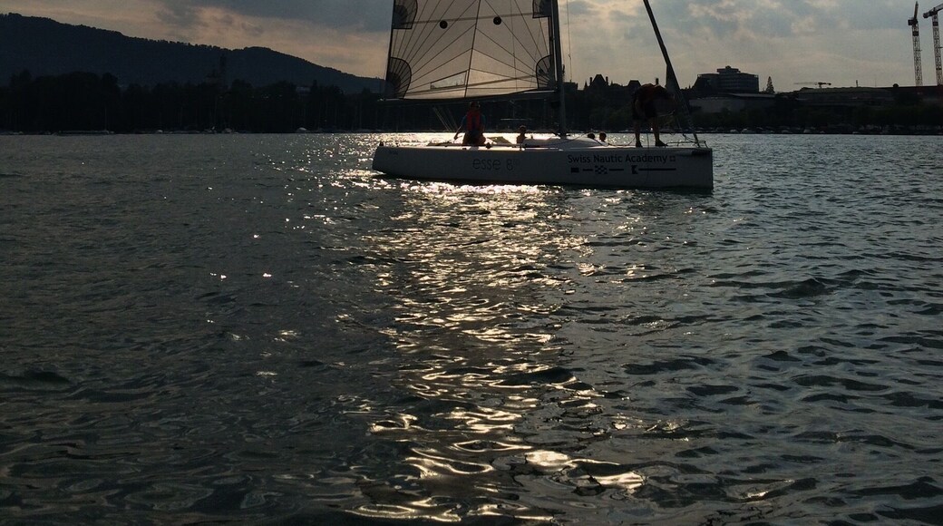 Boating at Lake ZĂŒrich during the sunset and witnessed this shadow game.