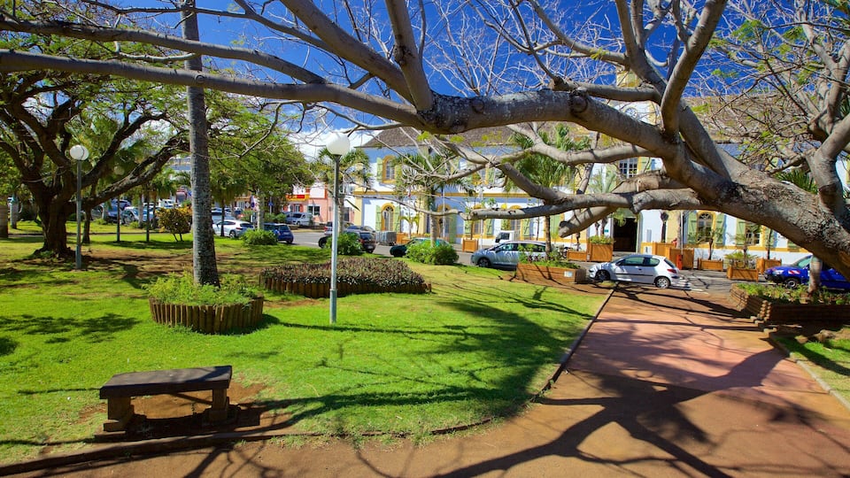 Un parco con una panchina, alberi, un marciapiede e auto parcheggiate.
