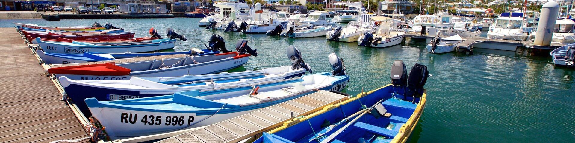 A marina with several small boats docked.