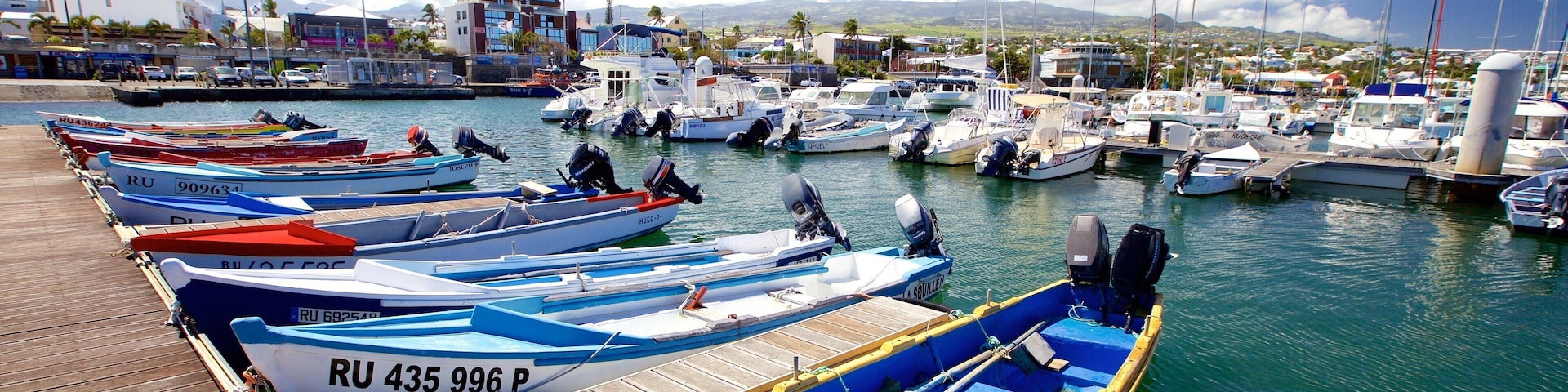 Saint-Pierre featuring a marina