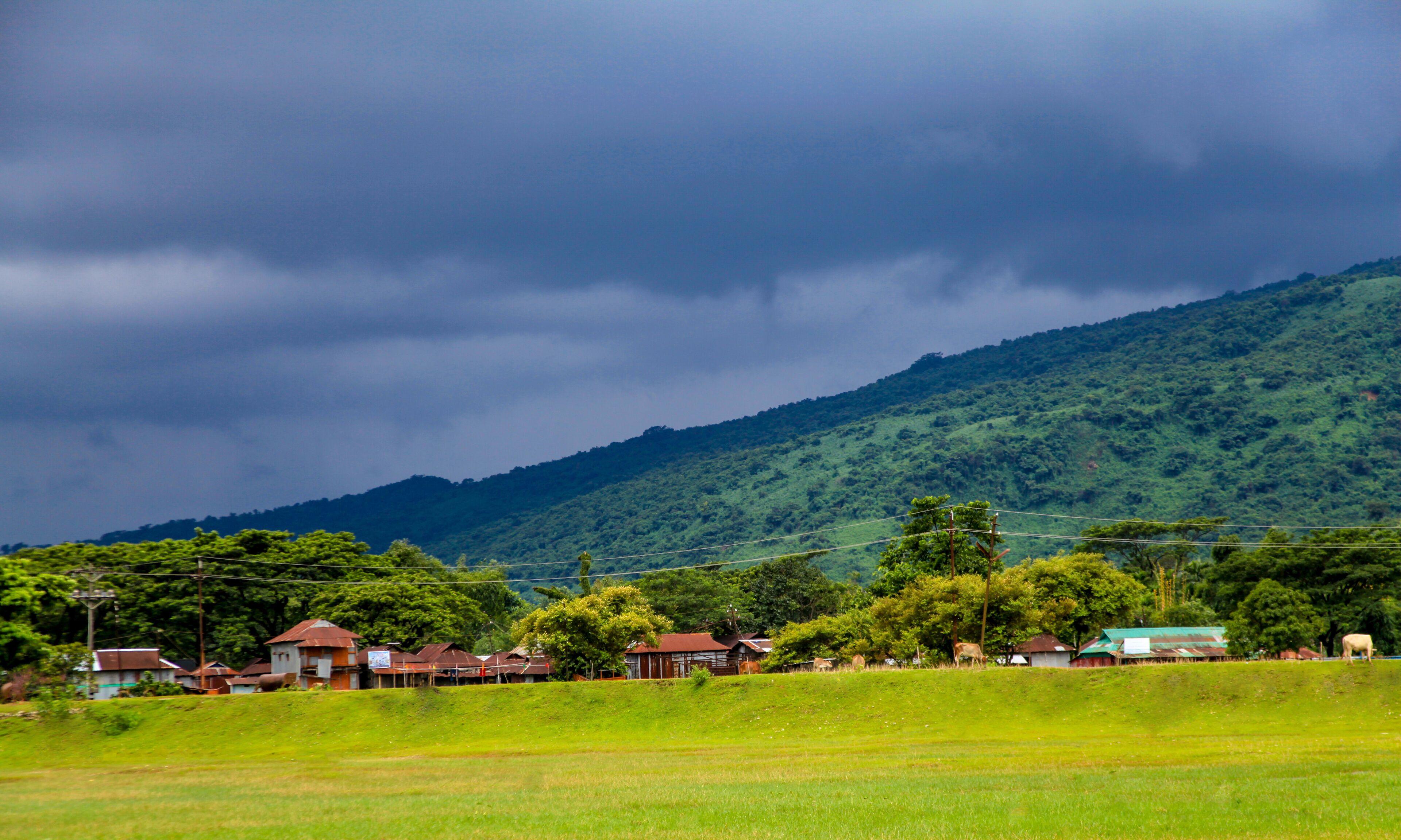 A rural landscape with houses, a green field, and a mountain in the background.