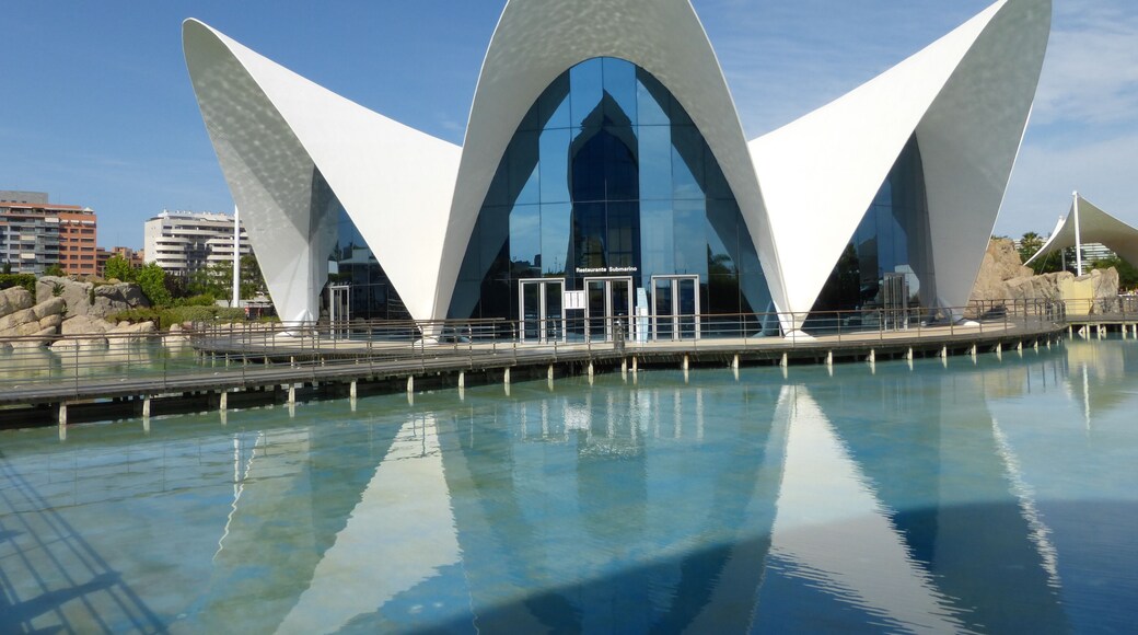 "l 'oceanographic " a valence