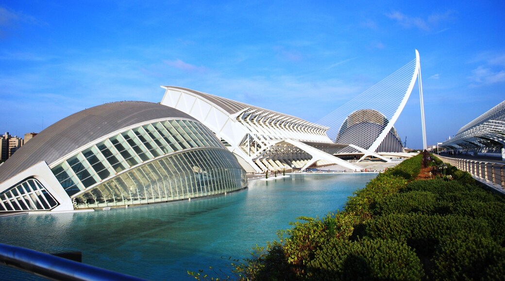 The City of Arts and Sciences, located just a bus hop away from the city center, a masterpiece of world renown architects, Valencia's very own Santiago Calatrava and Félix Candela.