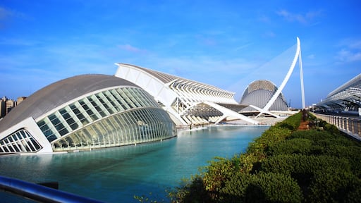 The City of Arts and Sciences, located just a bus hop away from the city center, a masterpiece of world renown architects, Valencia's very own Santiago Calatrava and Félix Candela.