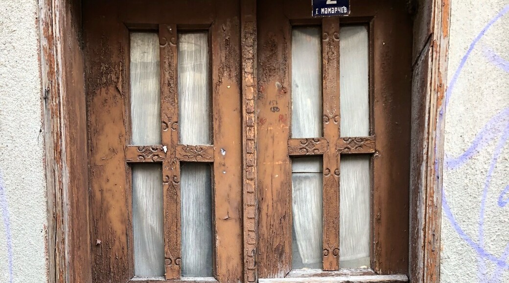 Cat guarding the entrance