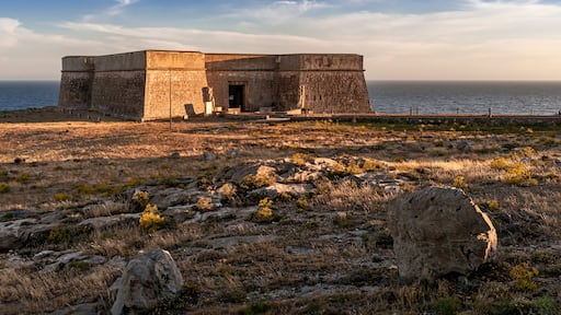El Ejido