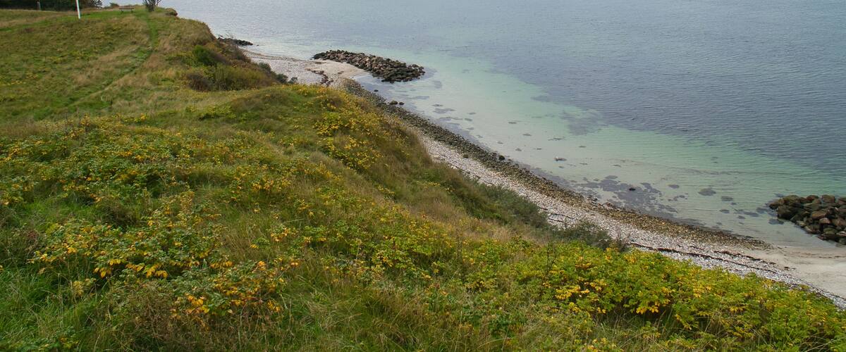 A coastal landscape with a grassy hill, a rocky shoreline, and a calm sea under a cloudy sky.