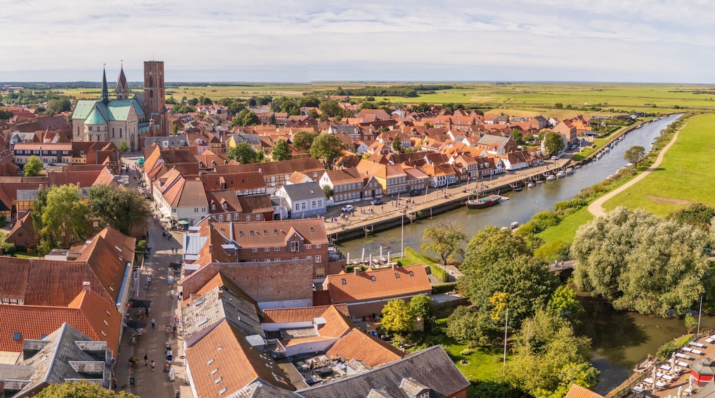 Vejen