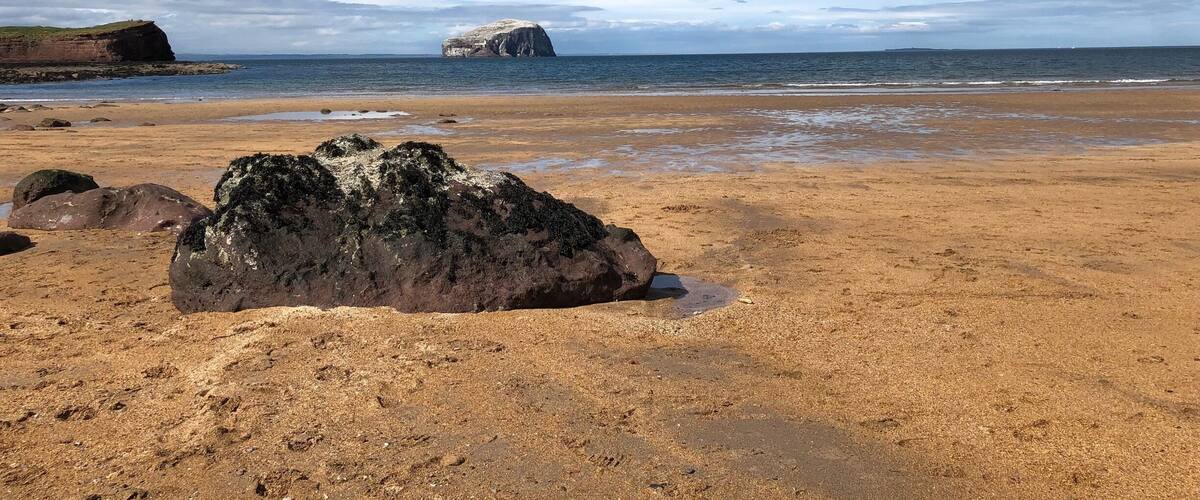 Seacliff is a hidden gem. It’s down a private road so hard to spot signs, and you do have to pay for parking but it’s worth it