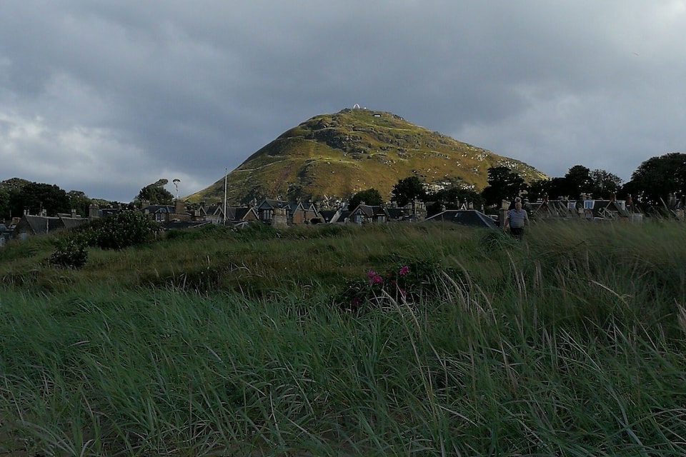 A hill with a flag on top, surrounded by houses and grass.