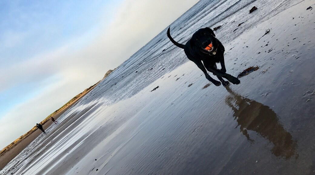 Playing on west beach, on Boxing Day.